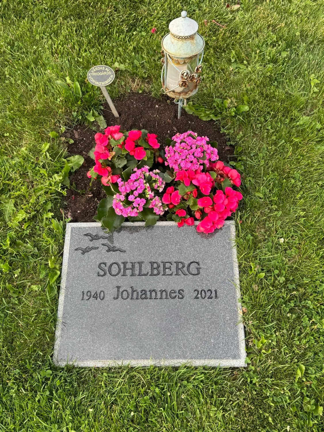 Sohlbergs grav efter – blommor i full blom och tydligt ifylld text på gravstenen